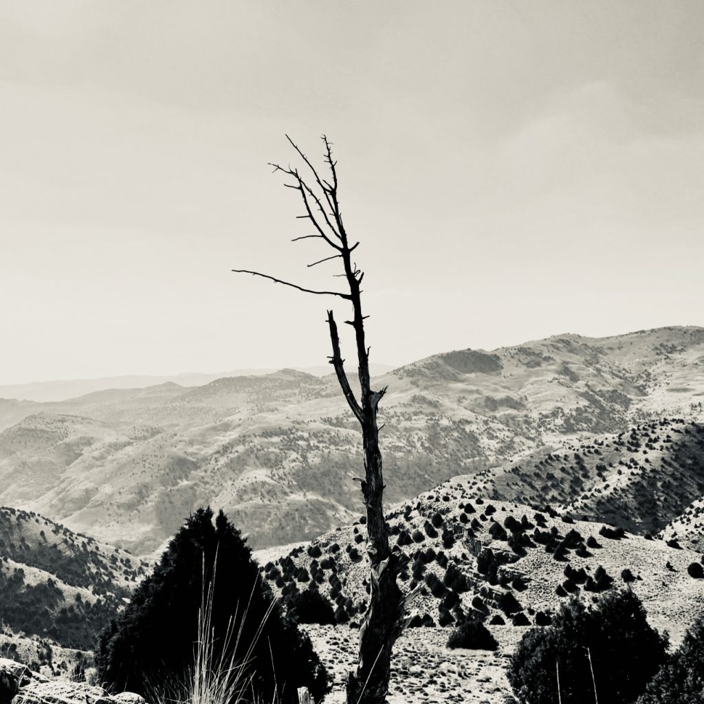 سیاوش داستان کوتاه ایرانی